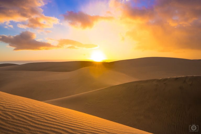 desert safari camel ride qatar Tour list image
